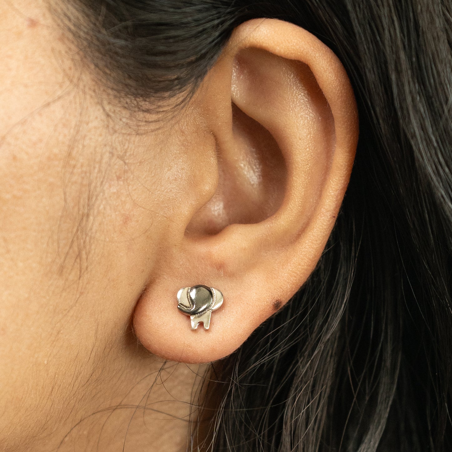Trunks in Dual Tone Earring in 925 Silver
