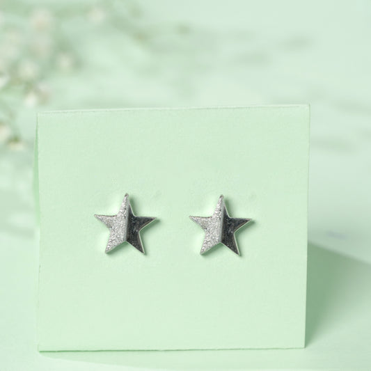 DiaStar Earrings in 925 Silver