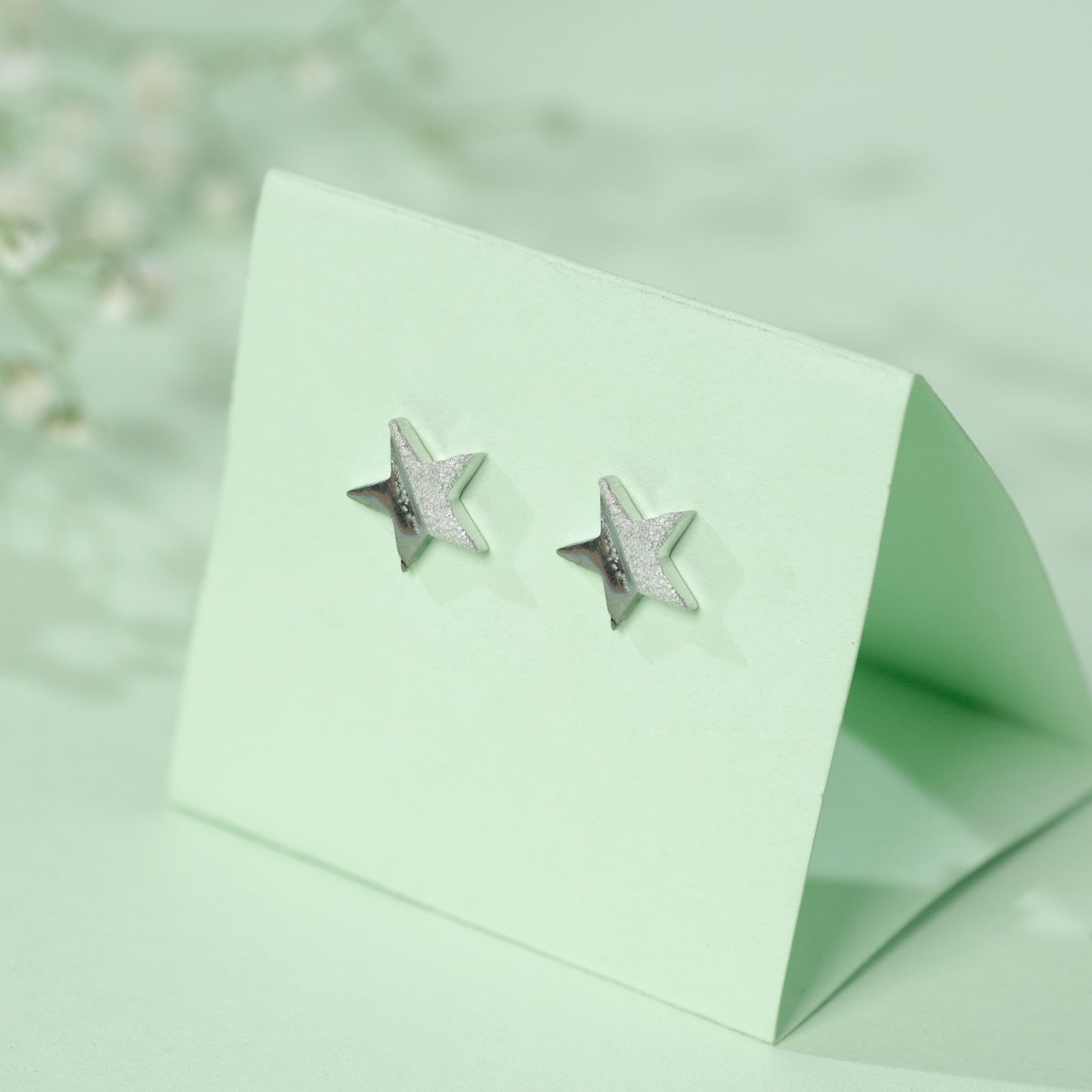 DiaStar Earrings in 925 Silver