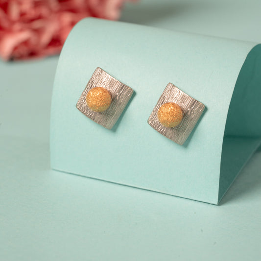 2in1 Dual Tone Earrings in 925 Silver