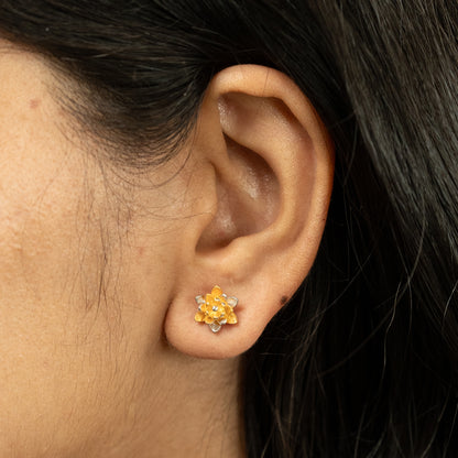 Dual Tone Petal Earrings in 925 Silver